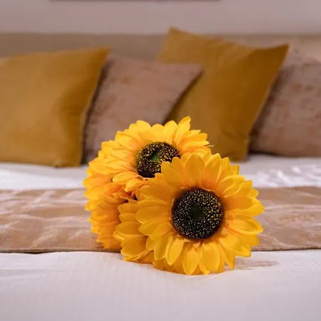 Bed & Breakfast Casa Mazzini *